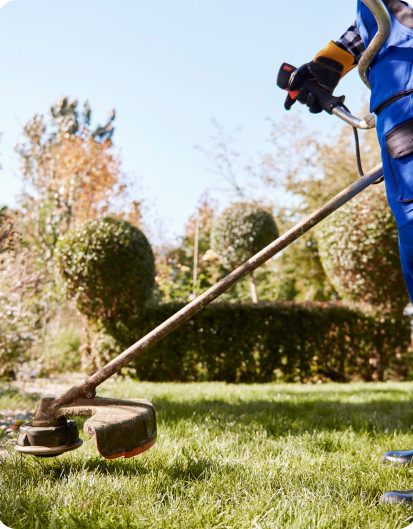 Landscaping and gardening service providers